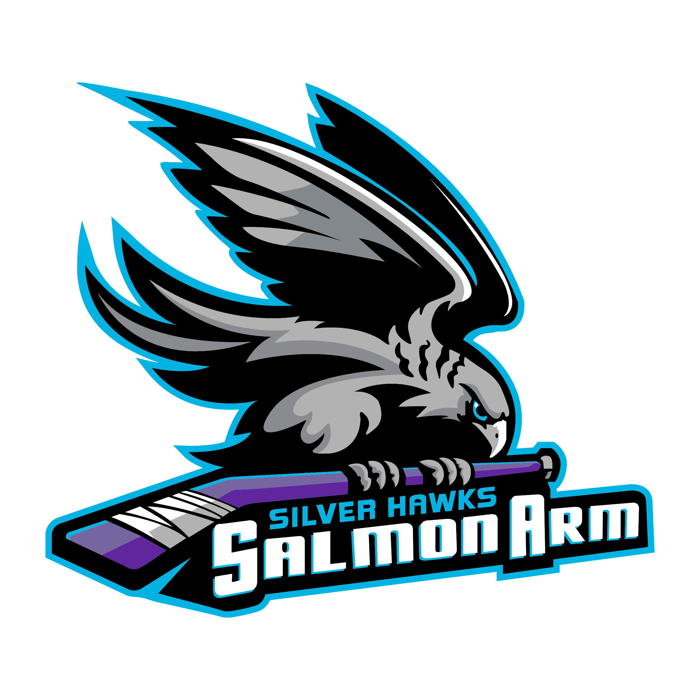 Silver Hawks – SAMHA
